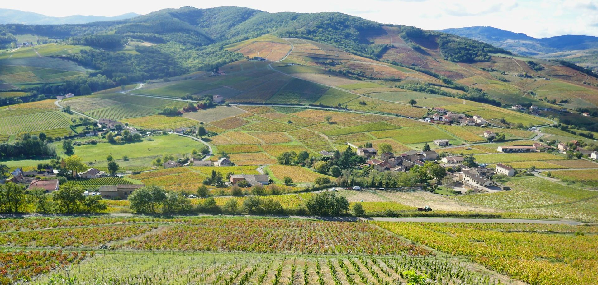 Vignobles du Beaujolais