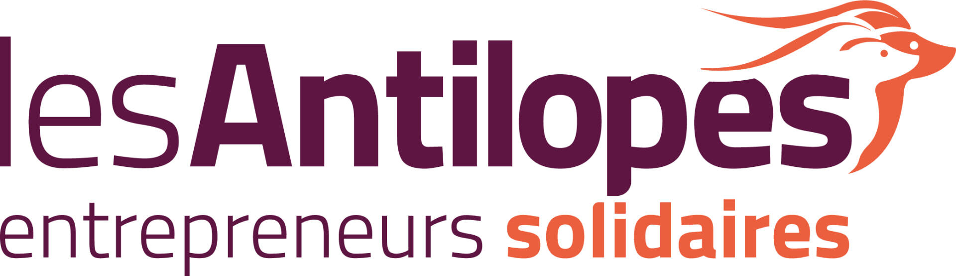 Les Antilopes — Entrepreneurs solidaires